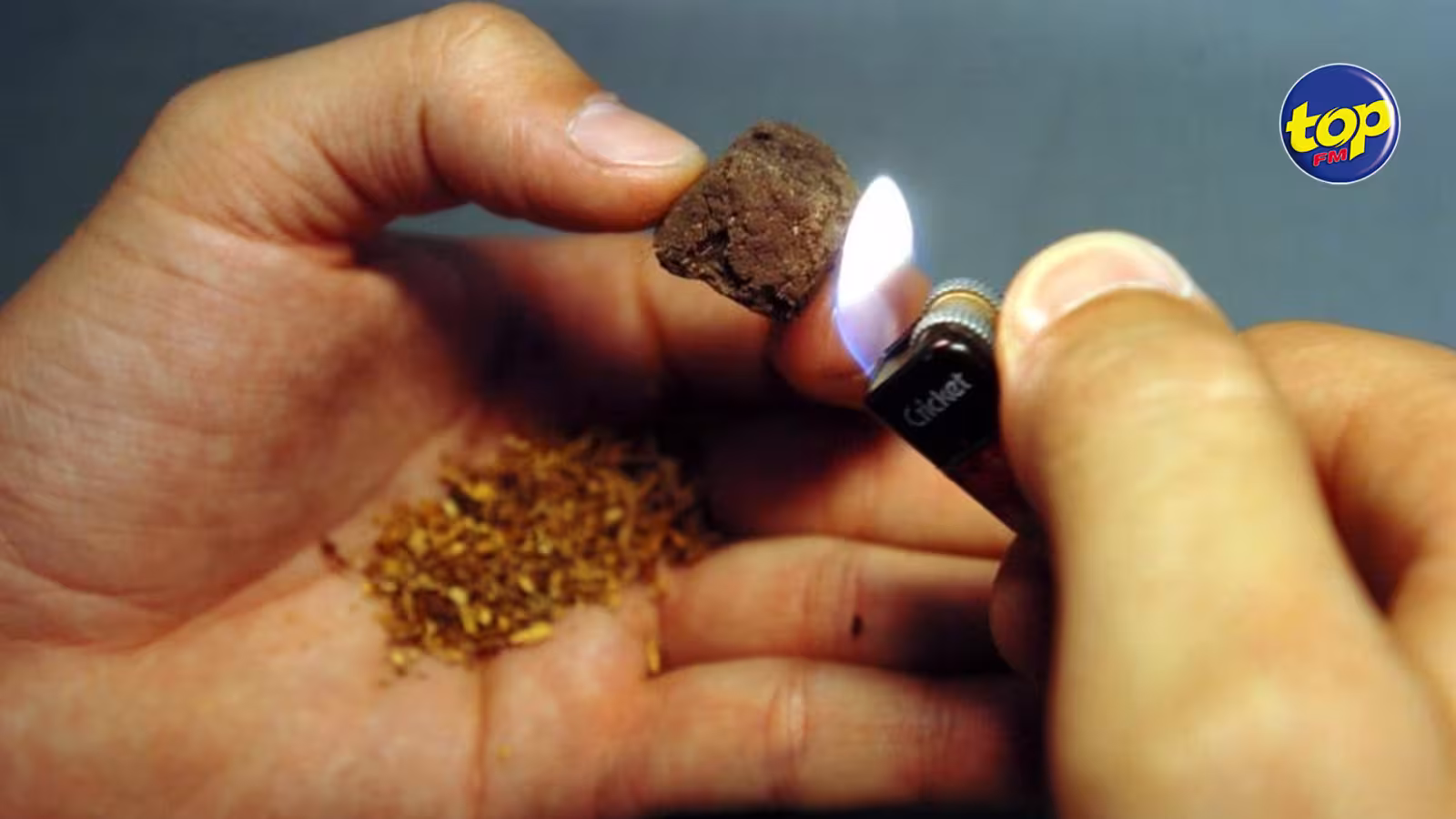À Résidence La Cure : un jeune homme de 21 ans arrêté pour trafic de drogue