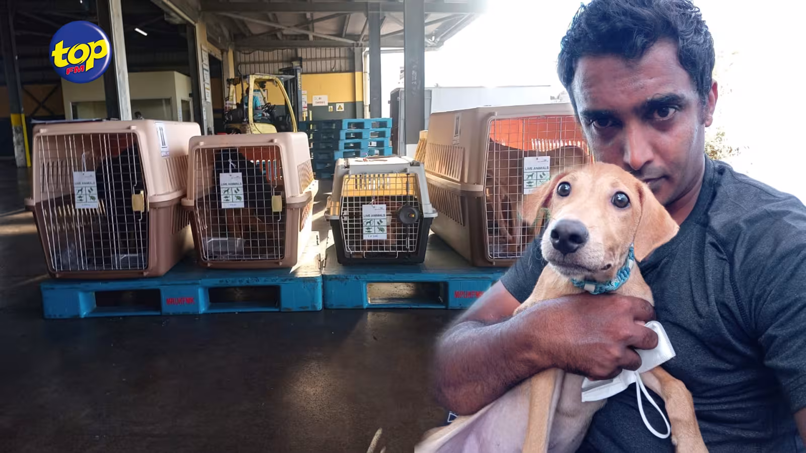 6 « Maurichiens »abandonnés et maltraités dans les rues de Maurice, s’envolent retrouver leurs familles adoptives en  Angleterre.
