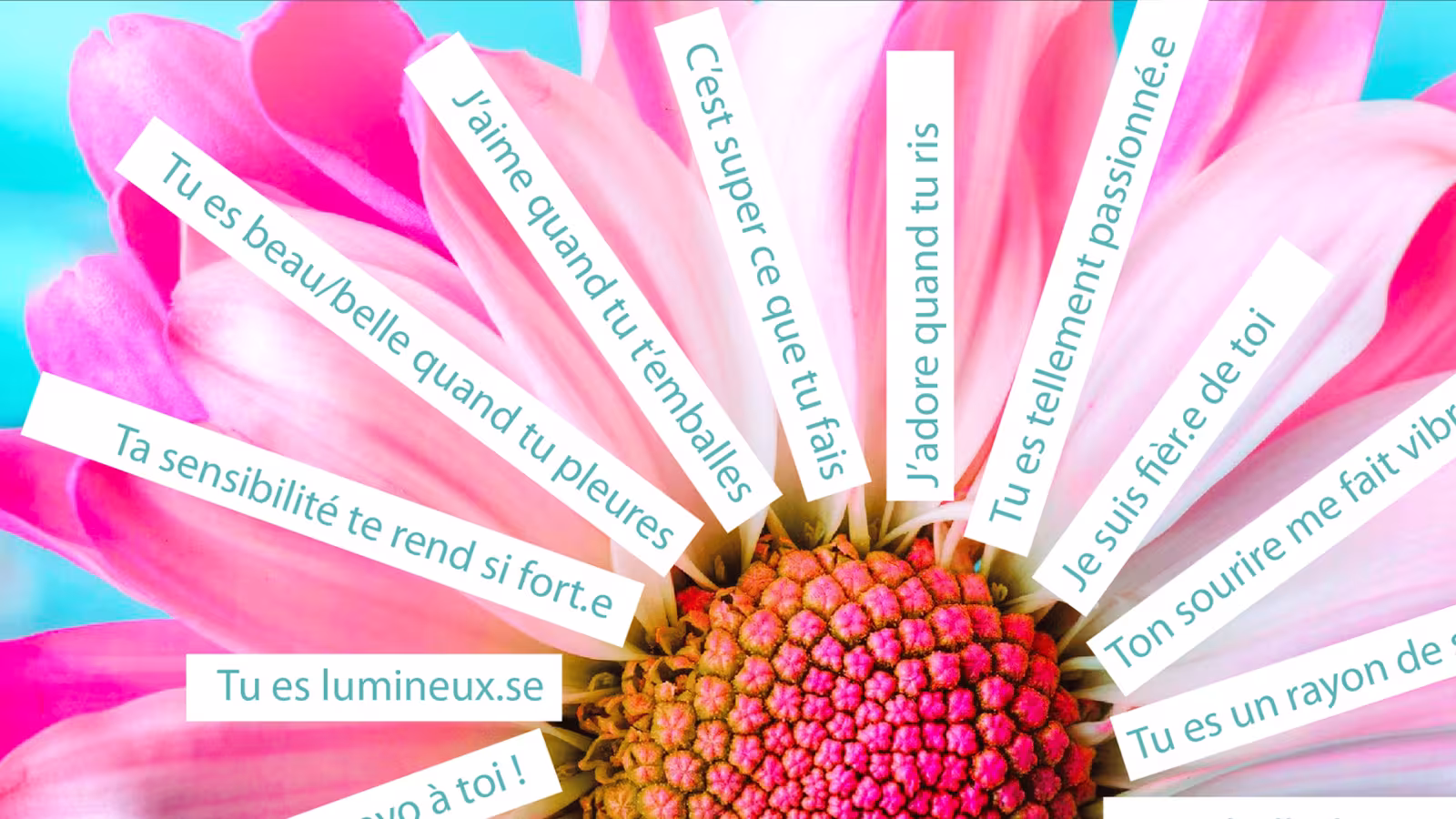 Journée mondiale du compliment