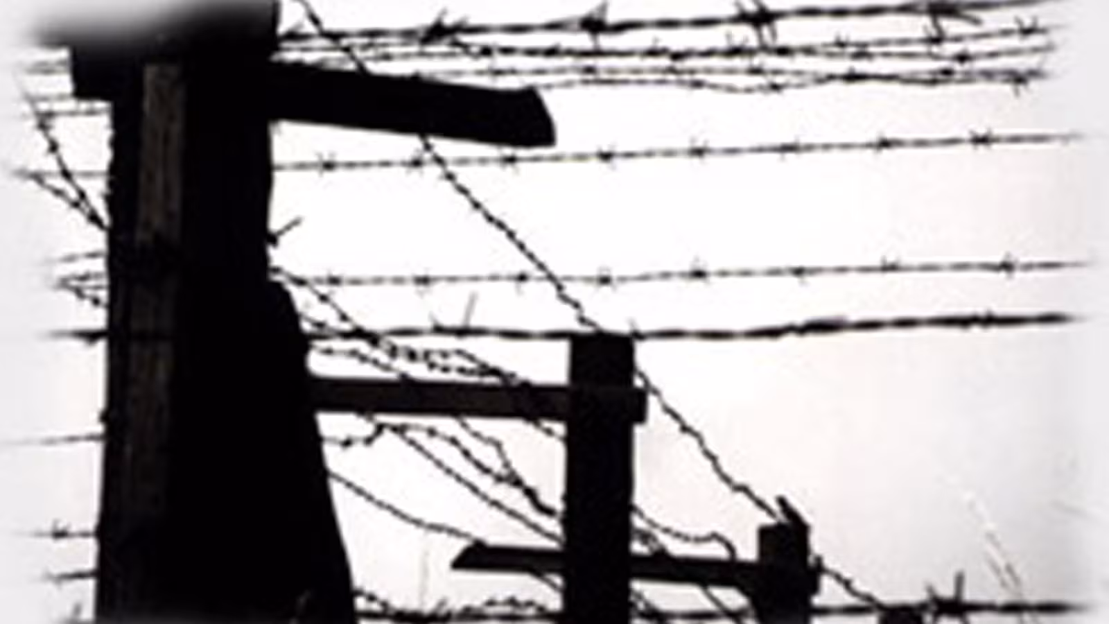 Journée de la mémoire de l’Holocauste et de la prévention des crimes contre l’humanité