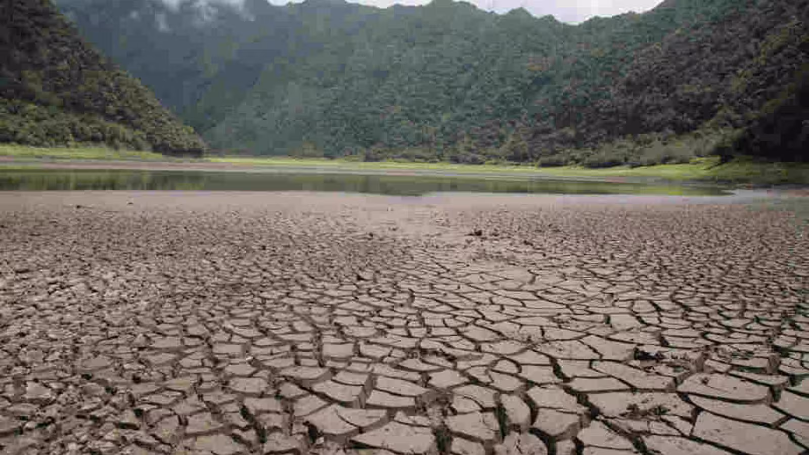 A l’ile de La Réunion, des mesures drastiques en place face à la sécheresse, 7 communes de l’île placées au niveau “alerte”: arrosage interdit et restriction d’eau