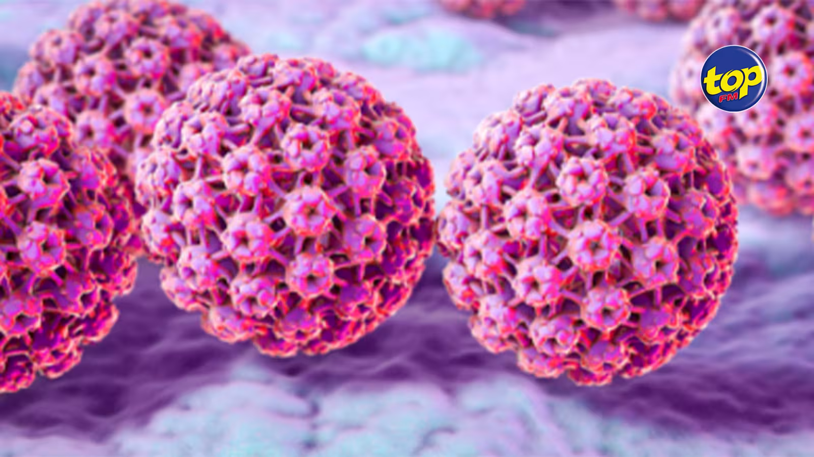 Appréhensions par rapport aux vaccins contre le papillomavirus : « Beaucoup de pays pe fer sa vaccin la… nous bizin pense bienfaits qui li pu fer sur la jeune génération », déclare le ministre Kailesh Jagutpal