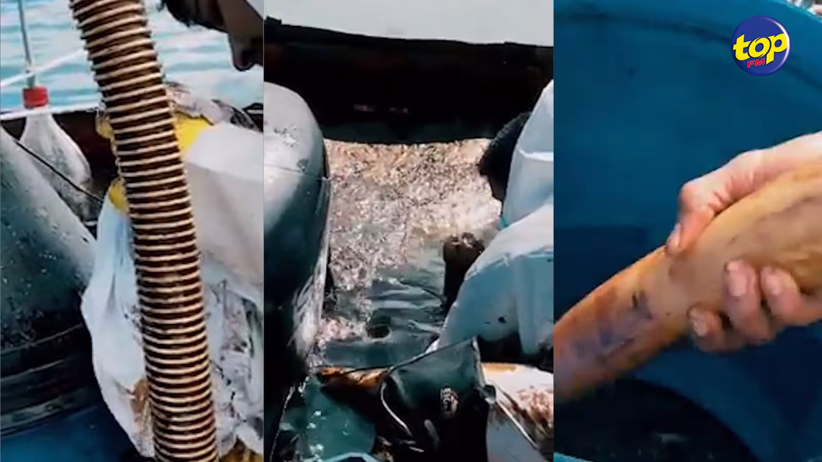 Afin de venir en aide aux volontaires pour le nettoyage de la mer dans le Sud-Est : Trois mauriciens fabriquent une écumoire artisanale…