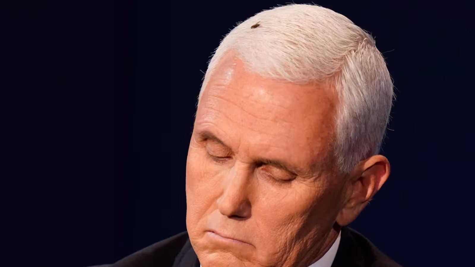 Une mouche fait mouche lors du débat entre la sénatrice Kamala Harris et le vice-président Mike Pence