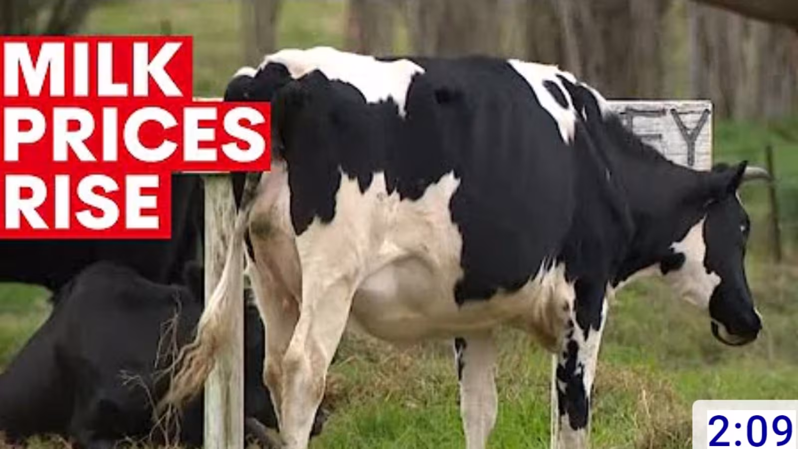 Consommation : Le lait Smatch désormais commercialisé à Rs 235 le kilo