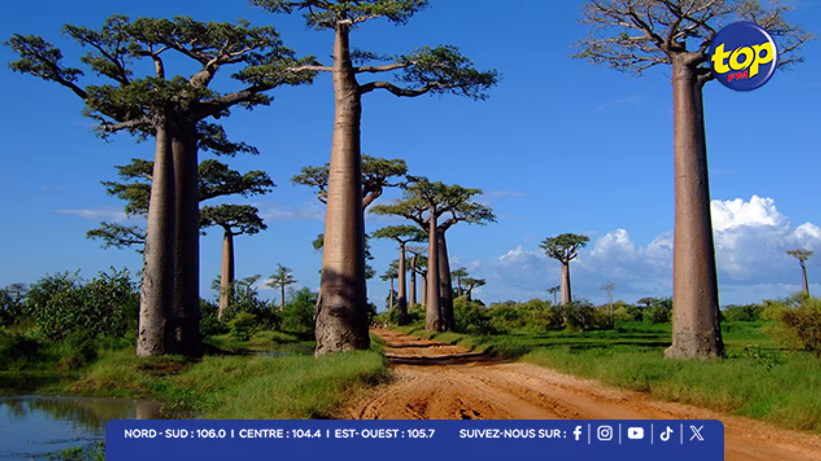 La COI soutient un projet pilote à Madagascar pour renforcer la résilience des côtes dans toute la région de l’océan Indien 