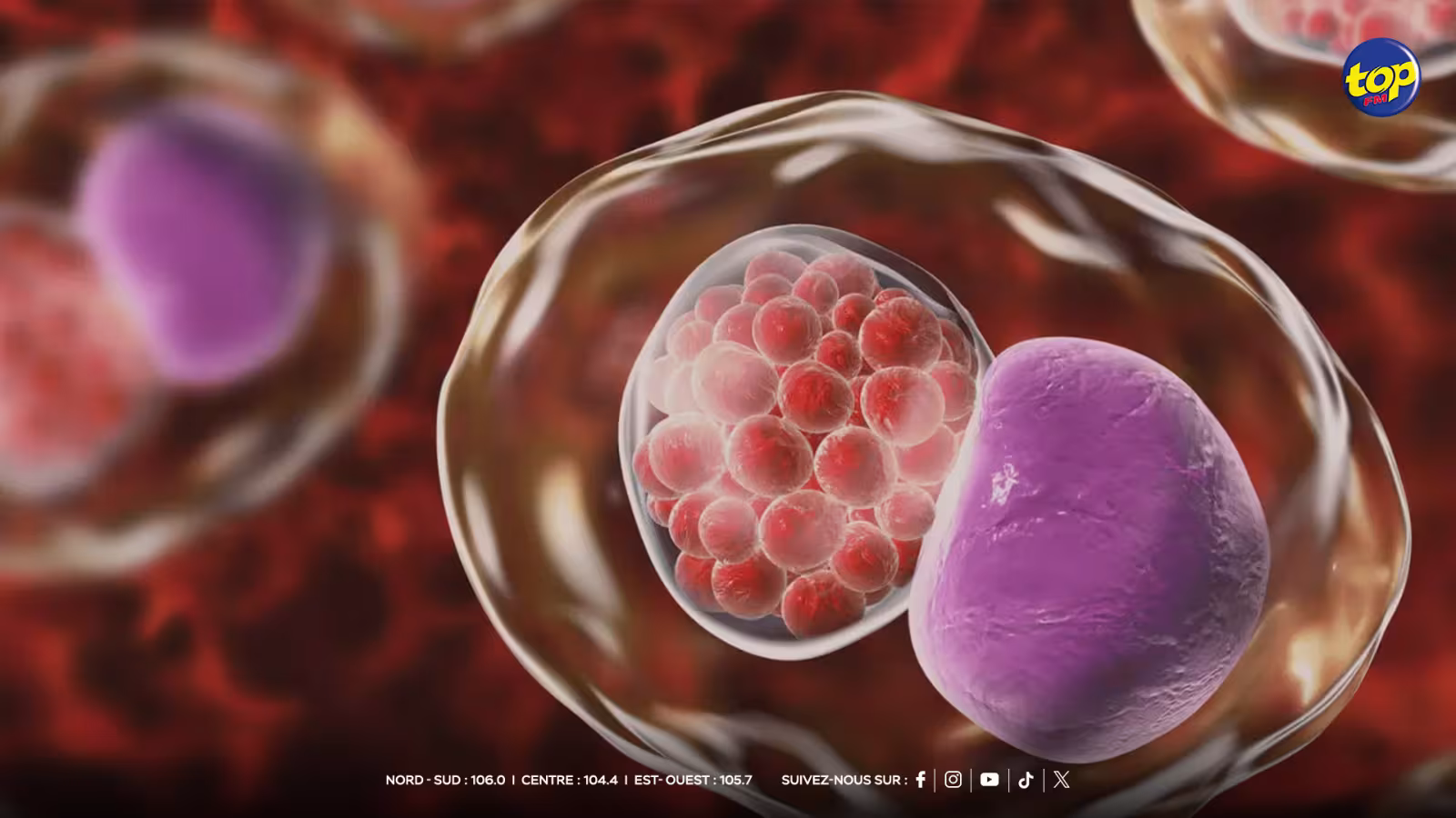 Maladies sexuellement transmissibles