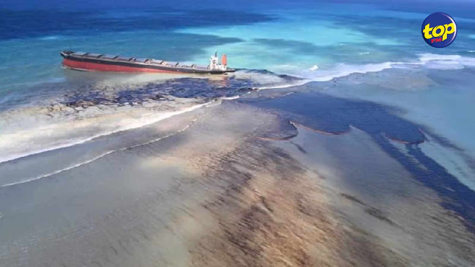 Naufrage du MV Wakashio : Le Conseil des ministres a pris note des retombées du Special Call for Proposals for Restoration