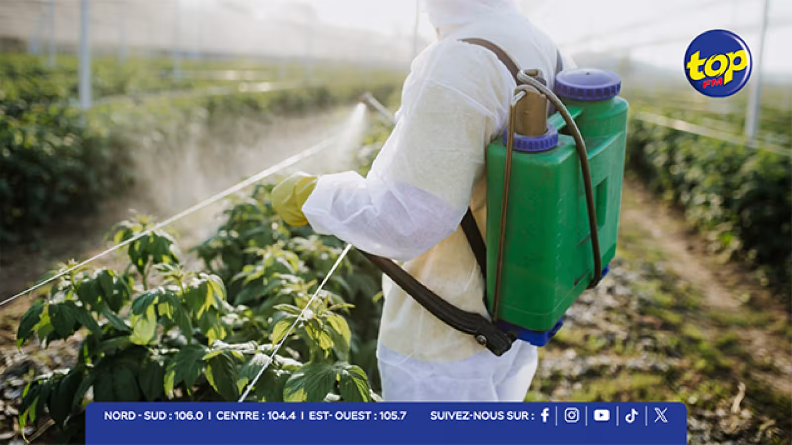 Santé et agriculture : les planteurs réclament une régulation stricte des pesticides face aux risques de cancer