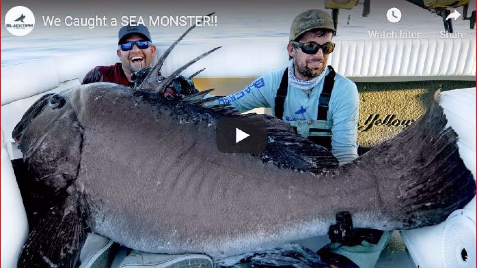 Des pêcheurs attrapent un poisson «monstre» près de la côte de la Floride