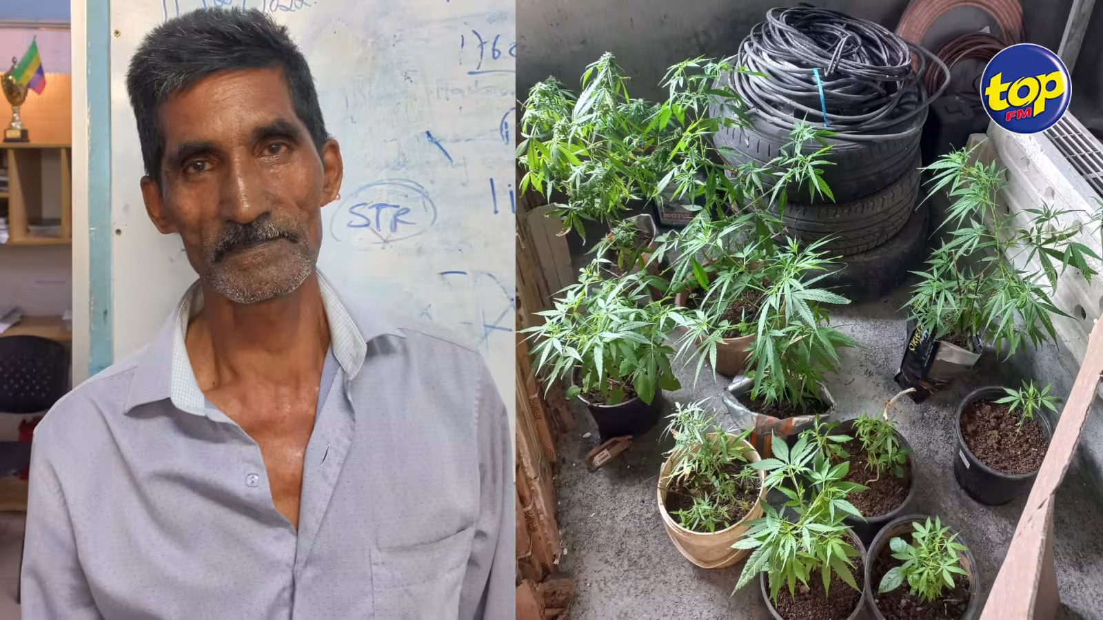 À Grand Sable : Hassam Gunpoteea, 65 ans, arrêté pour trafic de cannabis