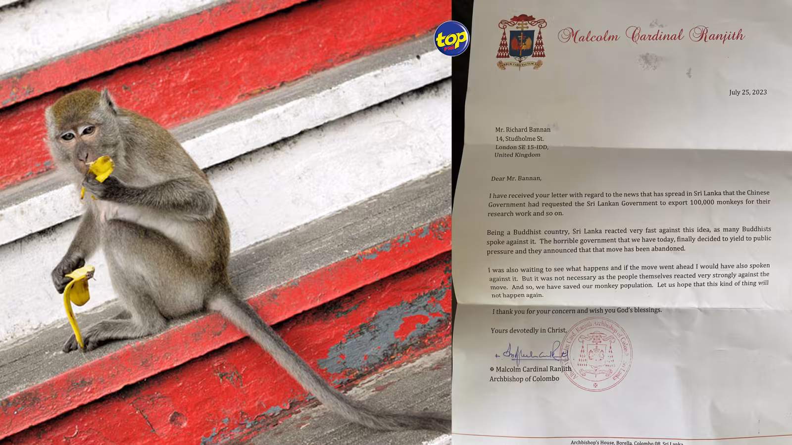 Demande des autorités chinoises pour que 100 000 singes soient exportés du Sri Lanka : « Le gouvernement sri-lankais n’a eu d’autres choix que de céder à la pression publique…nos singes sont sauvés », écrit Malcolm Cardinal Ranjith, archevêque de Colombo
