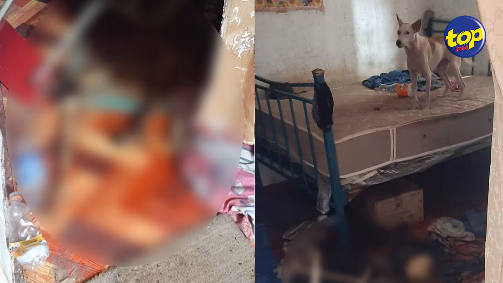 À Plaine Magnien ce mercredi : des restes humains retrouvés dans une maison