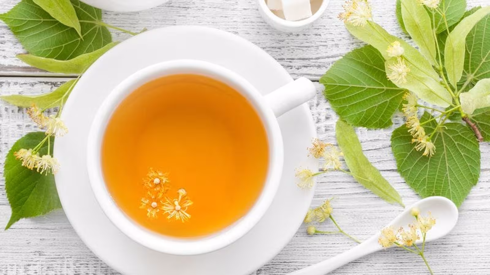 Le tilleul en tisane pour apaiser lánxiété