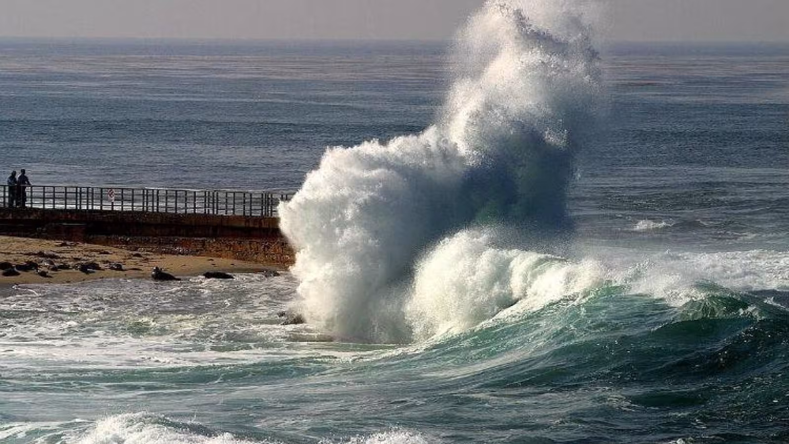 Fort séisme et tsunami en Nouvelle-Zélande et dans tout le Pacifique