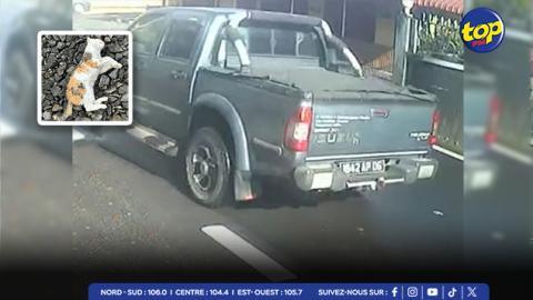 Abandonné par un individu devant un restaurant à Camp-Fouqueraux :