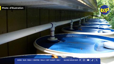 Collecte des eaux de pluie