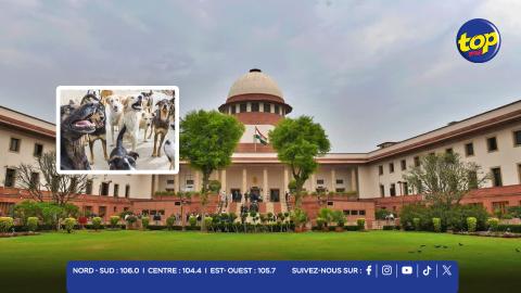 Cour suprême de l’Inde