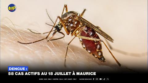 Dengue : 58 cas actifs au 18 juillet à Maurice