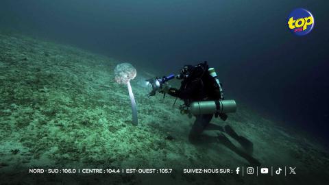 Exploration-des-fonds-marins
