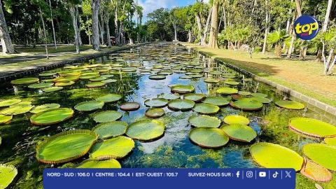 Jardin Botanique SSR