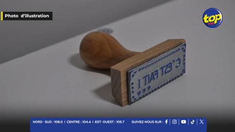 Tampon manche en bois brun