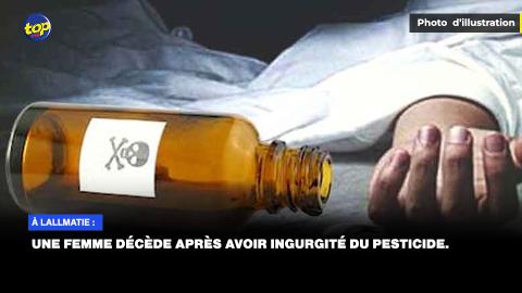 𝗔̀ 𝗟𝗮𝗹𝗹𝗺𝗮𝘁𝗶𝗲 :