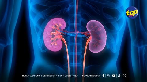 Transplantation-rénale