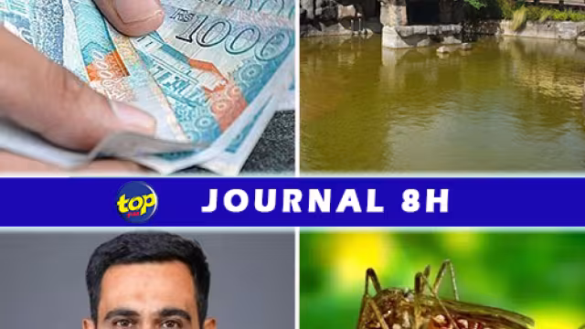 Journal 8H