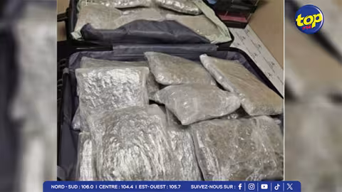 À l'aéroport SSR : saisie record de 49 kilos de cannabis valant Rs 59 millions