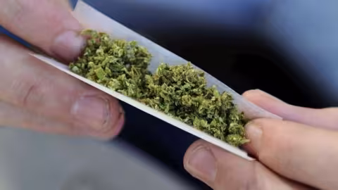 La France a décidé d’organiser une consultation citoyenne sur l’usage du cannabis “récréatif”.