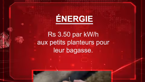 Budget 2021-2022 : Rs 3.50 par kW/h aux petits planteurs pour leur bagasse