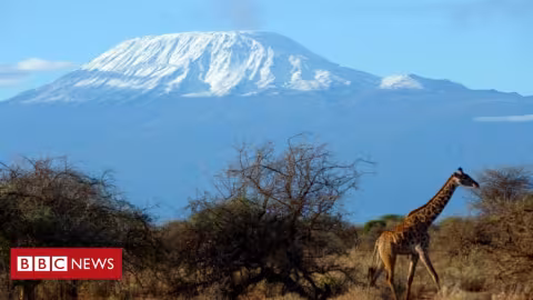 Kilimandjaro : un violent incendie ravage la plus haute montagne d’Afrique