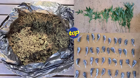 À Bel Ombre : un homme de 45 ans arrêté pour trafic de cannabis