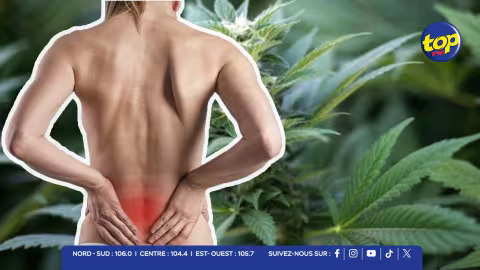 Mal de dos chronique : le cannabis médical réduit la douleur dans un essai sur 820 patients