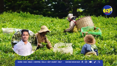 ‘Tea Sector Support Scheme’ – Fabrice David : « L’enveloppe passe de 8 à 13 millions de roupies en deux ans » 