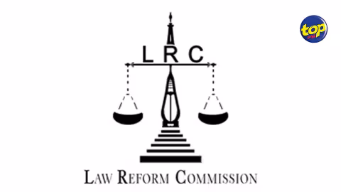 Dans un rapport daté de décembre 2022 : La Law Reform Commission recommande la castration chimique pour lutter contre la récidive sexuelle