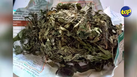À Chemin Grenier : En voyant les officiers de l’ADSU, le suspect abandonne un paquet contenant 27,30 grammes de cannabis