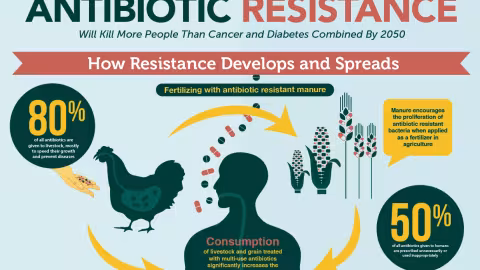 Après le Covid : Une autre pandémie de maladies résistantes aux antibiotiques