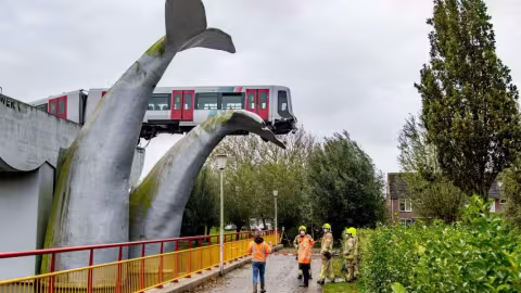Un métro déraille et atterrit sur une sculpture de baleine