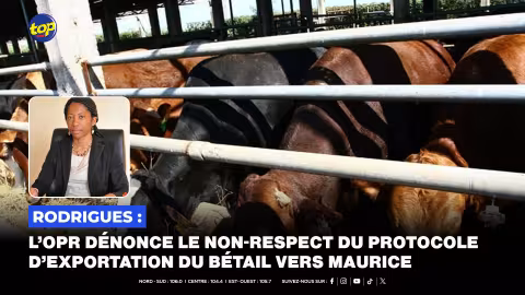 Eid – Ul- Adha : le prix du bétail fixé à Rs 170 le kilo