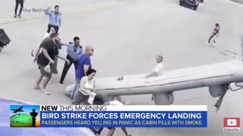Atterrissage d’urgence d’un avion après une ‘attaque’ d’oiseaux