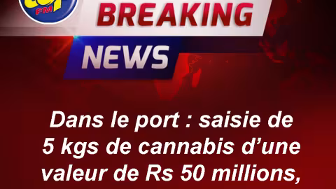 Dans le port : saisie de 5 kgs de cannabis d’une valeur de Rs 50 millions, un médecin arrêté !