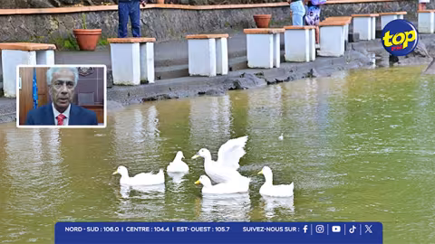 Canards de Ganga Talao : relocalisés en toute sécurité à Curepipe Experimental Division du ministère de l’Agriculture, selon Arvin Boolell