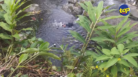 Le corps de Berty Khoylash retrouvé dans un bassin à Floréal : La CID de Curepipe enquête
