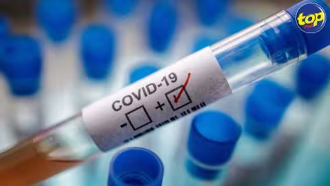 COVID-19