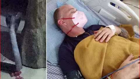Le patient anglais Covid-19 mordu par un cobra a recouvré la vue