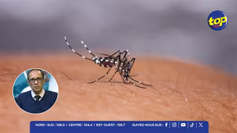 Chikungunya : 37 nouveaux cas recensés, 70 cas actifs au total