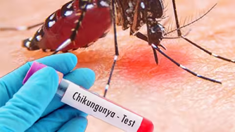 Chikungunya : Deux des six échantillons testés négatifs…les autres résultats attendus ce mardi