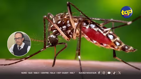 Chikungunya